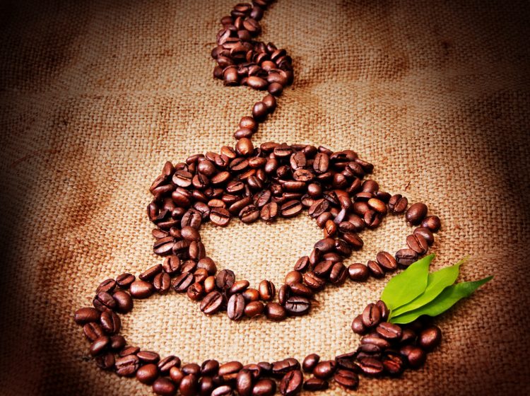 café,indígenas-café y cultura ancestral se encuentran en una taza