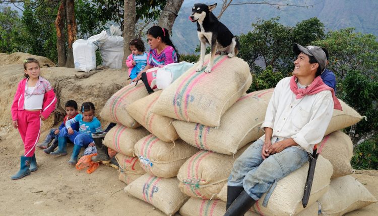 viviendas sostenibles,campesinos-viviendas sostenibles para campesinos cafeteros